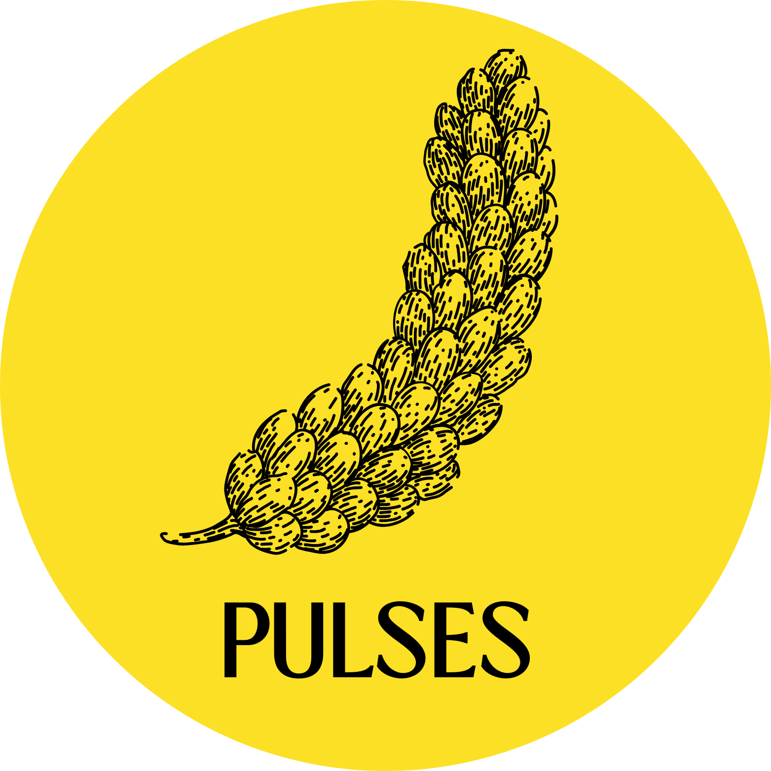 Pulses
