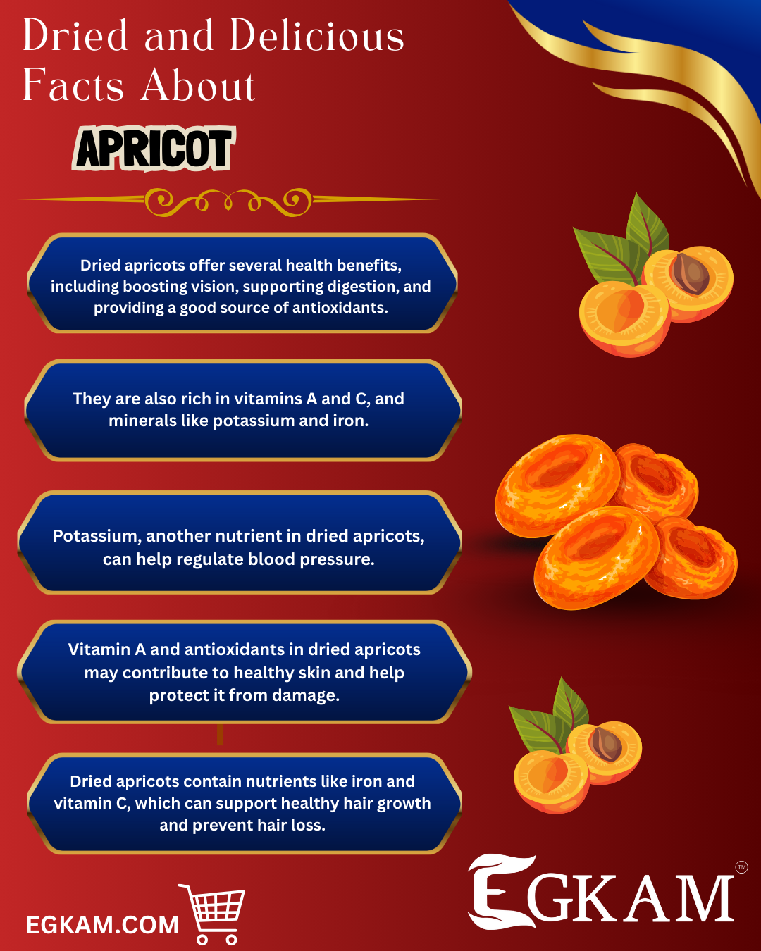APRICOT  - Image 3