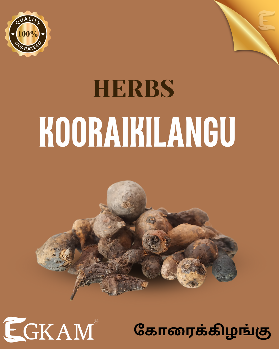 KOORAIKILANGU - Image 2