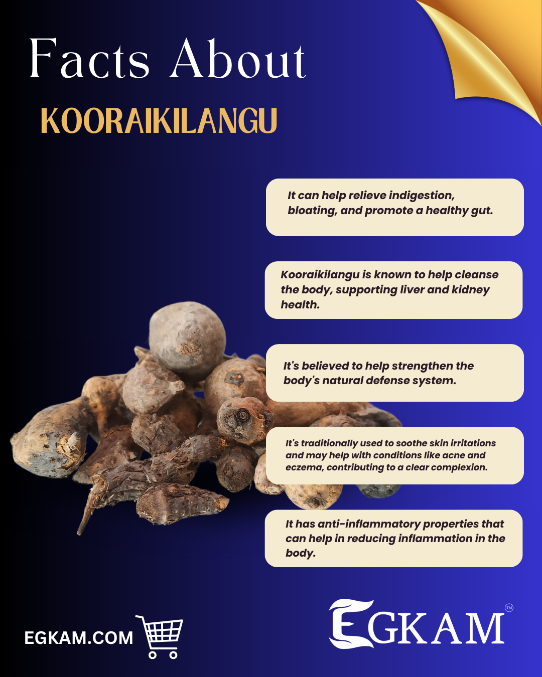 KOORAIKILANGU - Image 3