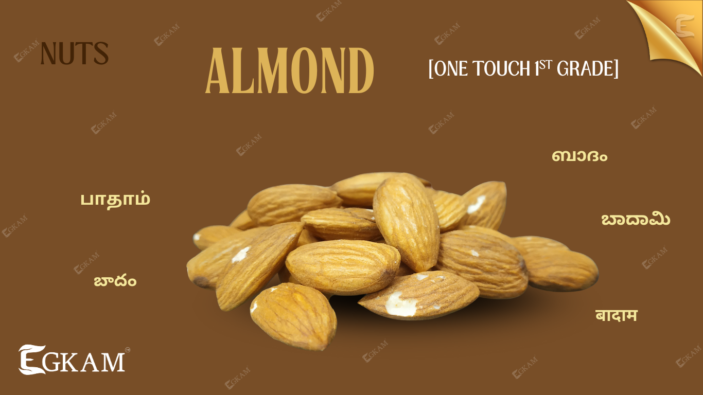 BADAM [ONE TOUCH 1ST GRADE]