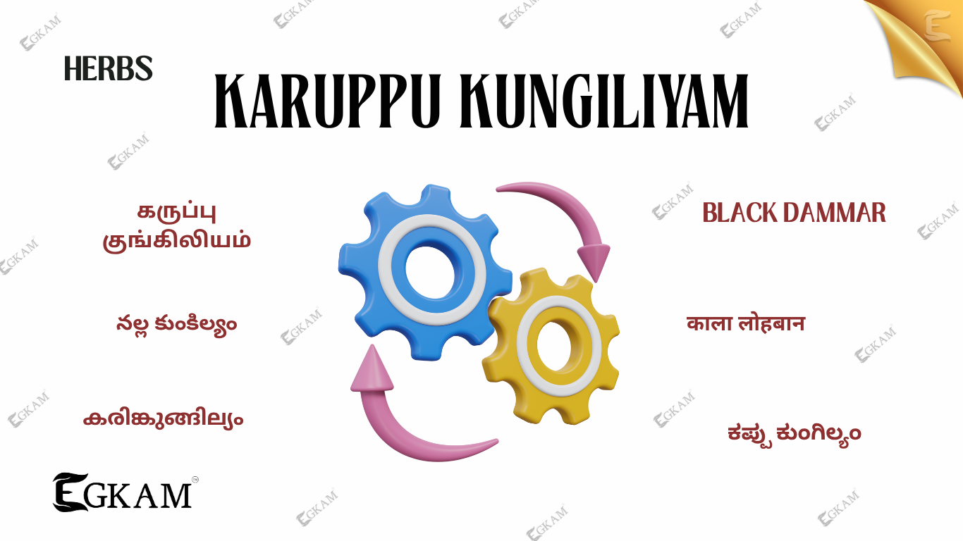 KARUPPU KUNGILIYAM (or) BLACK DAMMAR