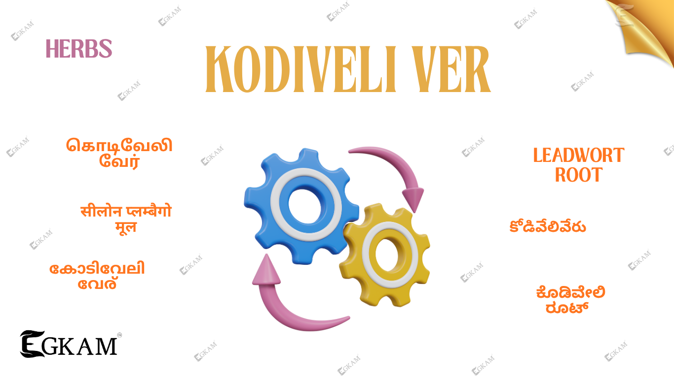 KODIVELI VER