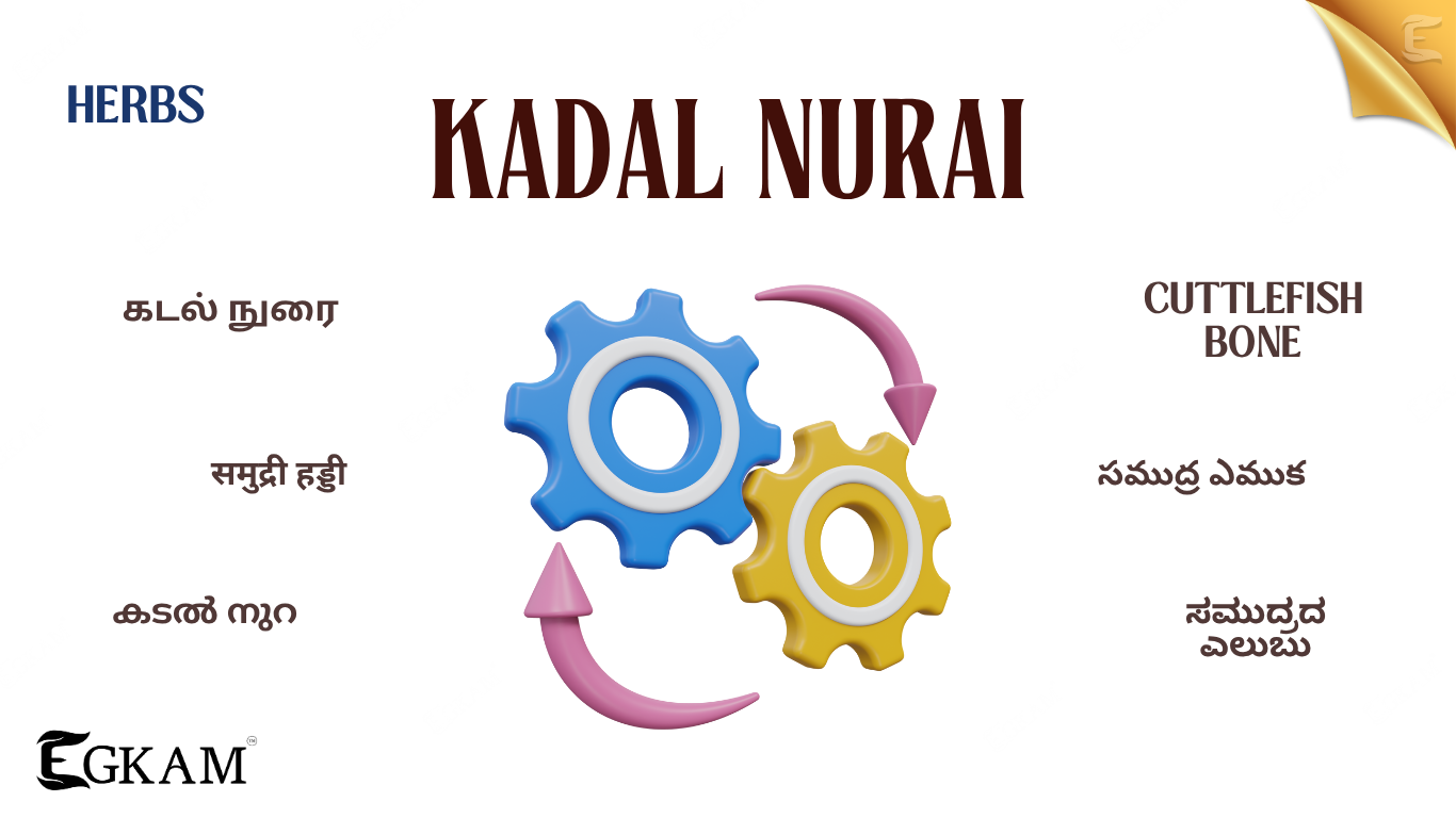 KADAL NURAI