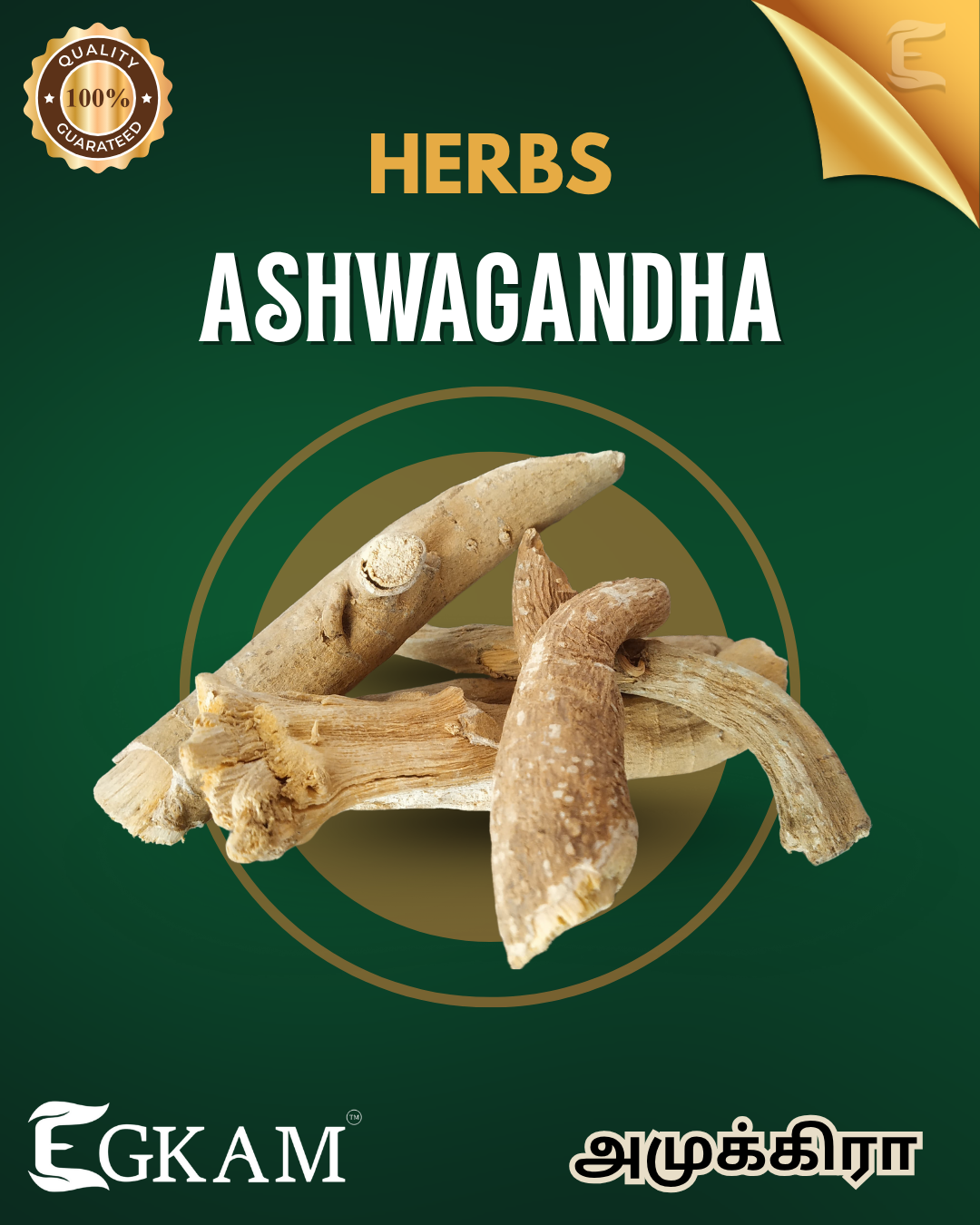 ASHWAGANDHA (OR) AMUKALA [BIG] - Image 2