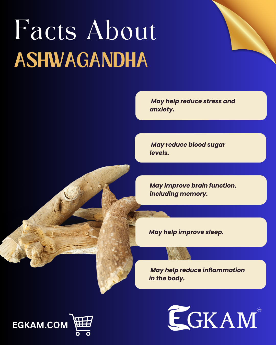 ASHWAGANDHA (OR) AMUKALA [BIG] - Image 3