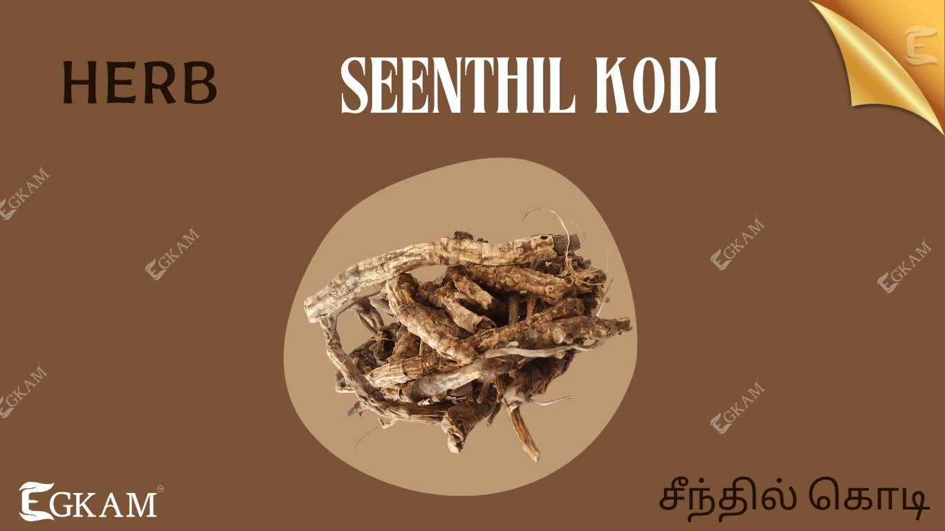 SEENTHIL KODI