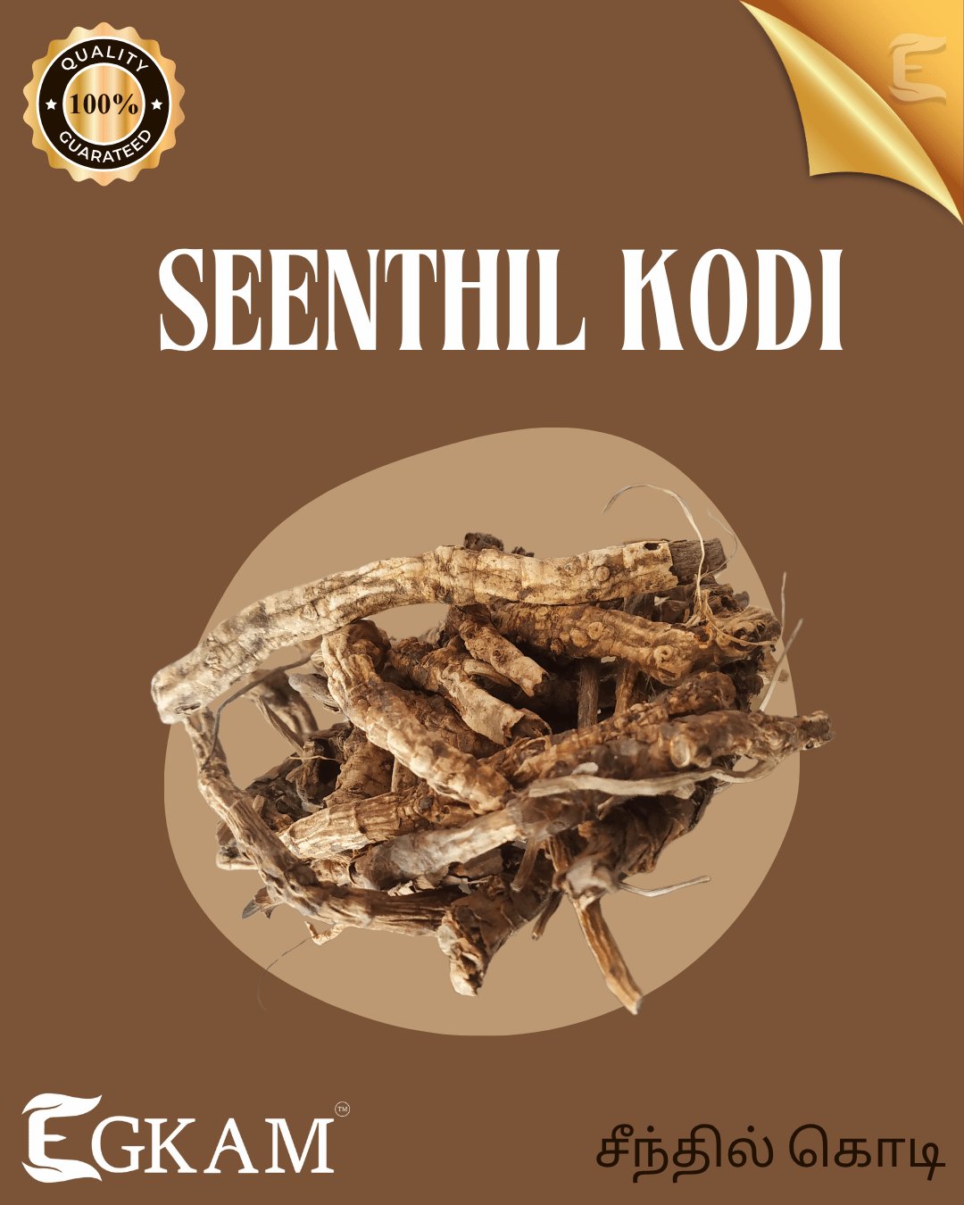 SEENTHIL KODI - Image 2