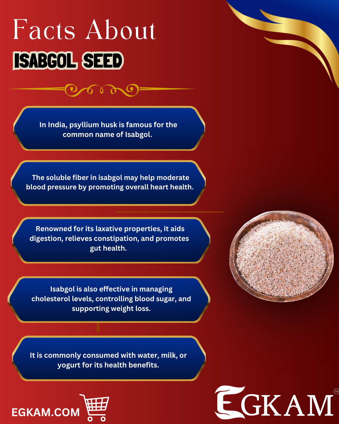 ISABGOL SEED (OR) PSYLLIUM HUSK - Image 3