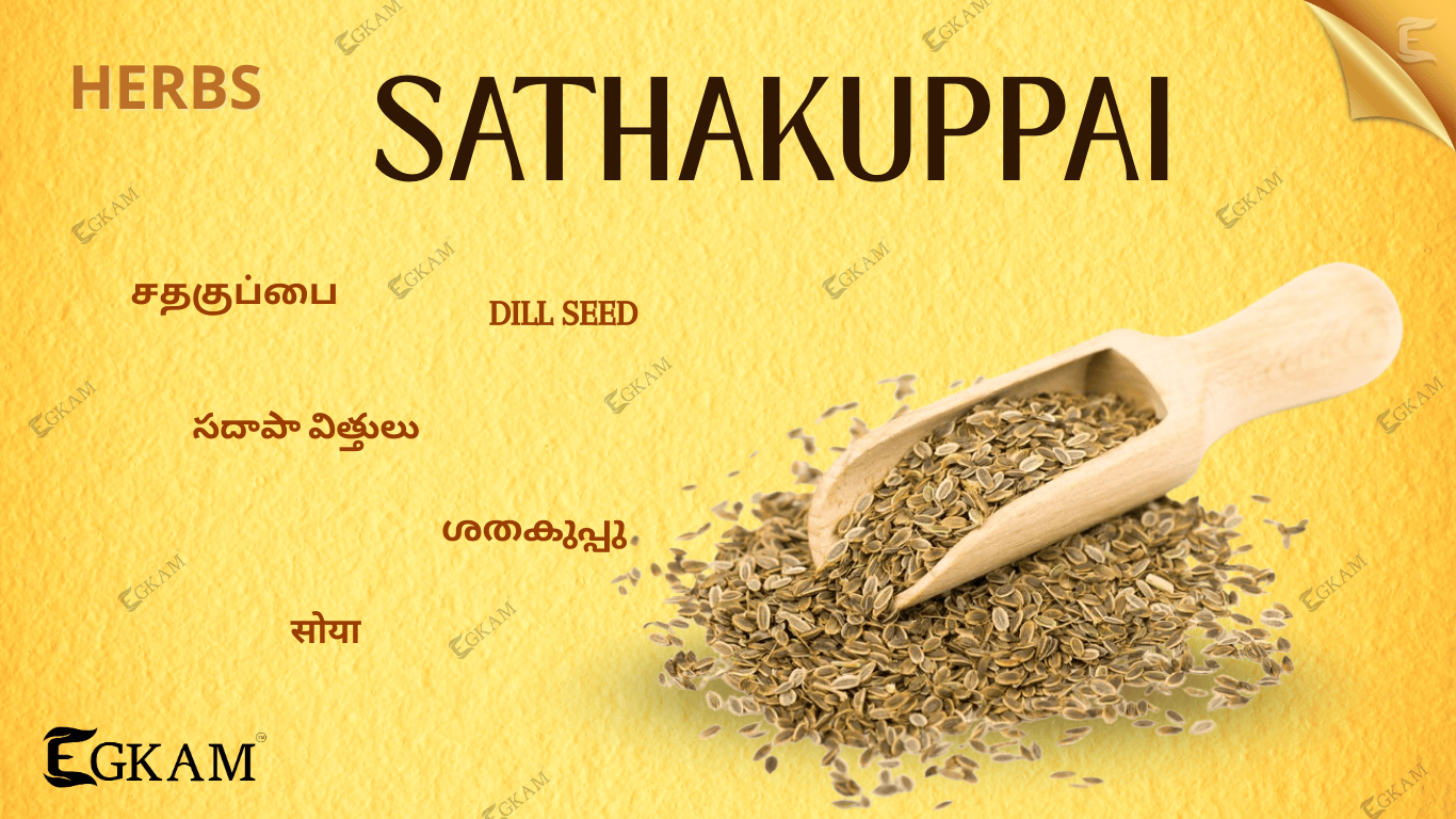 SATHAKUPPAI