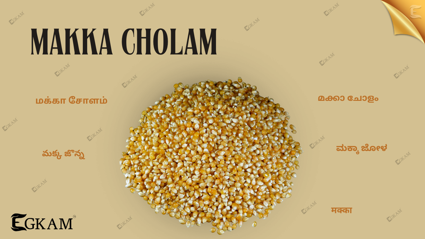 MAKKA CHOLAM  (or) CORN 