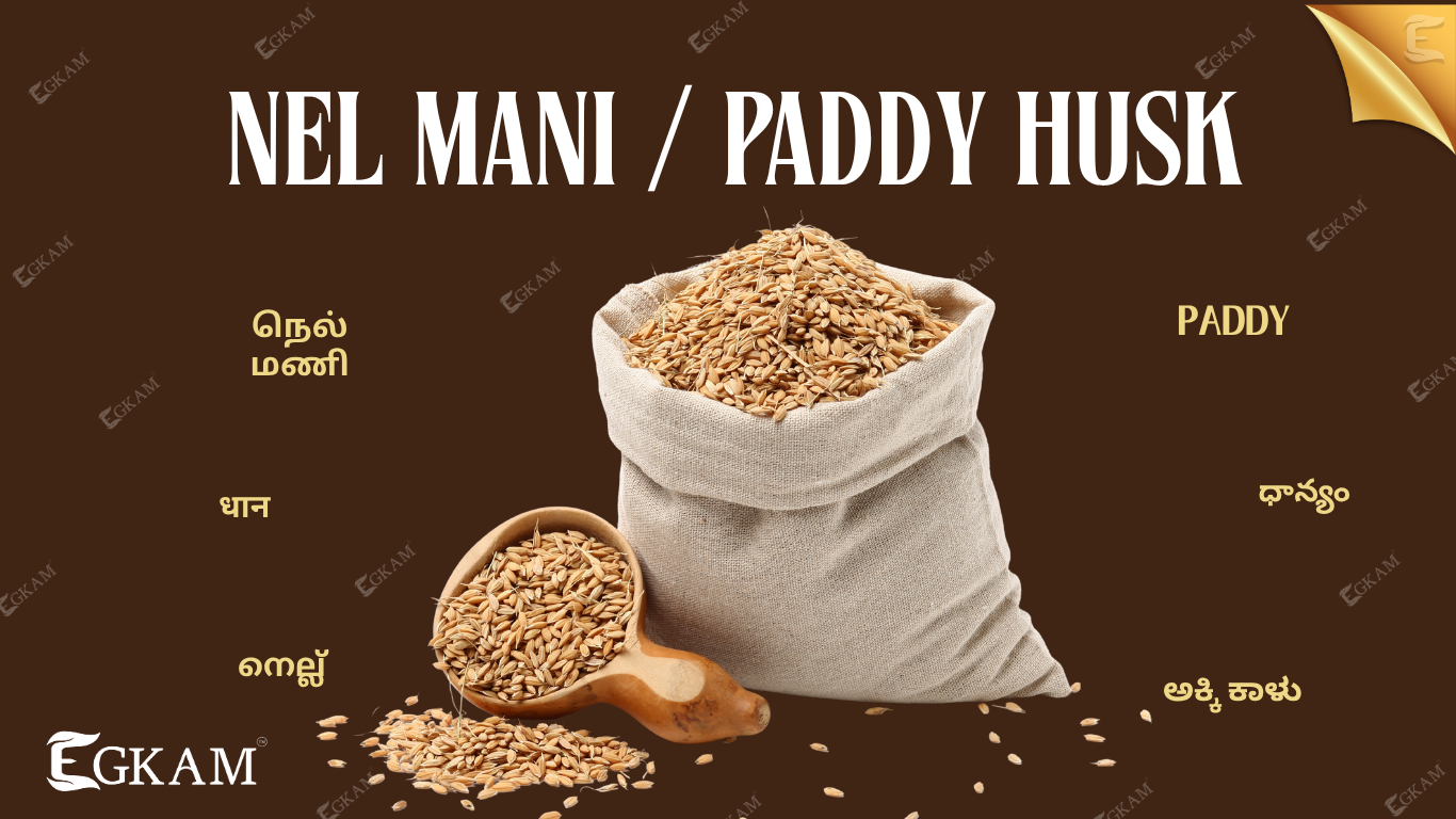 NEL MANI (or) PADDY 
