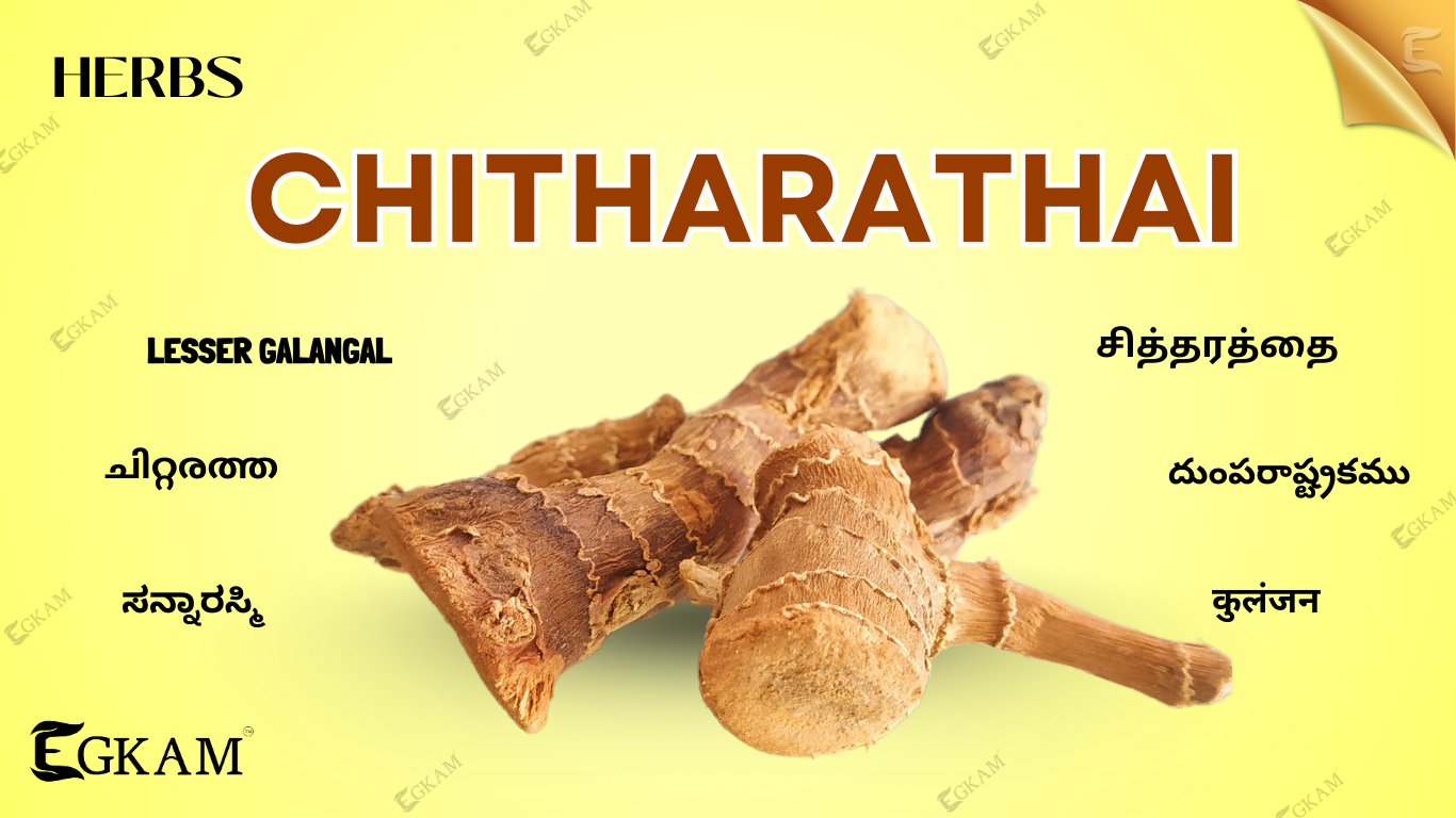 CHITHARATHAI