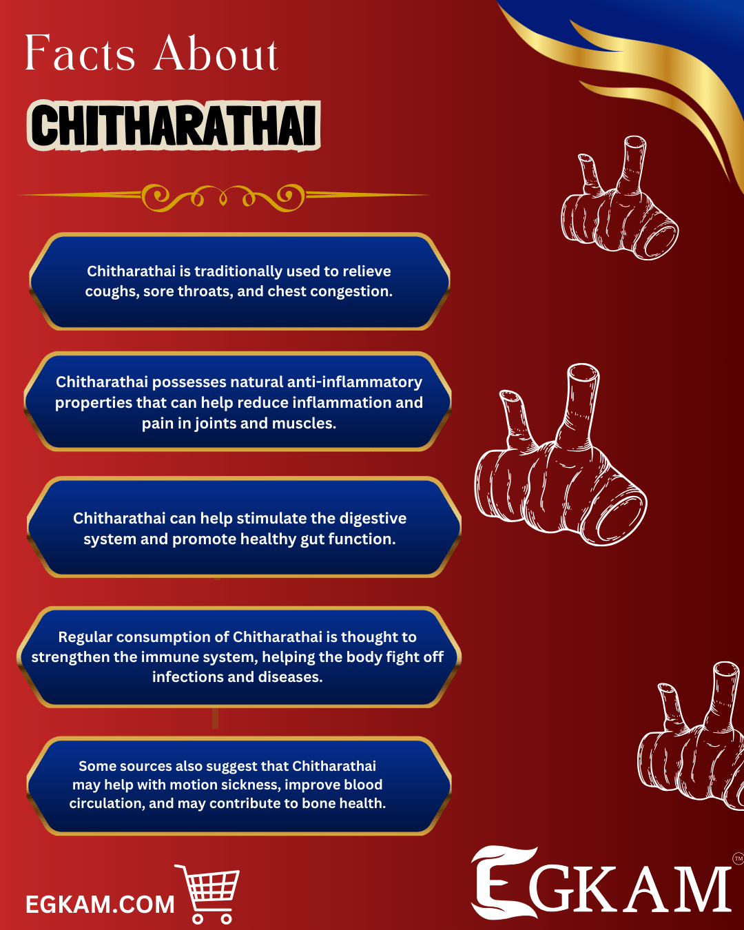 CHITHARATHAI - Image 3
