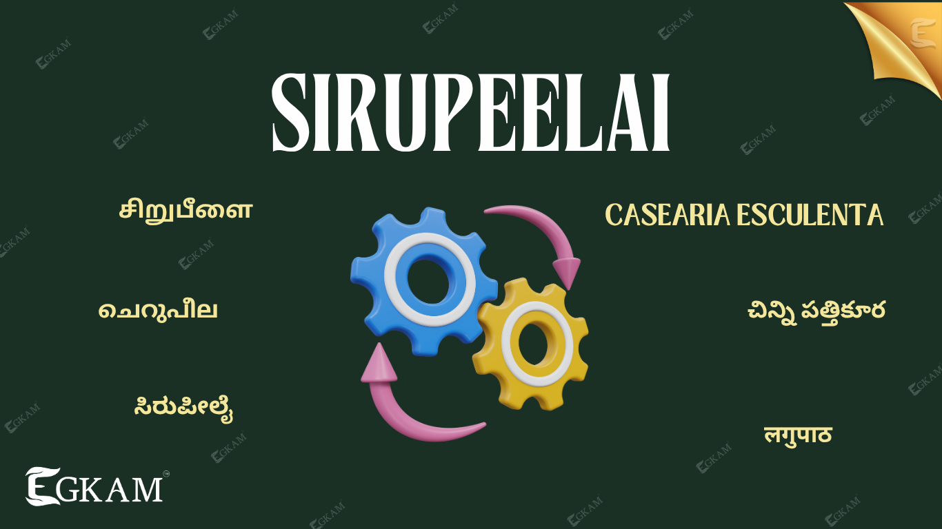 SIRUPEELAI