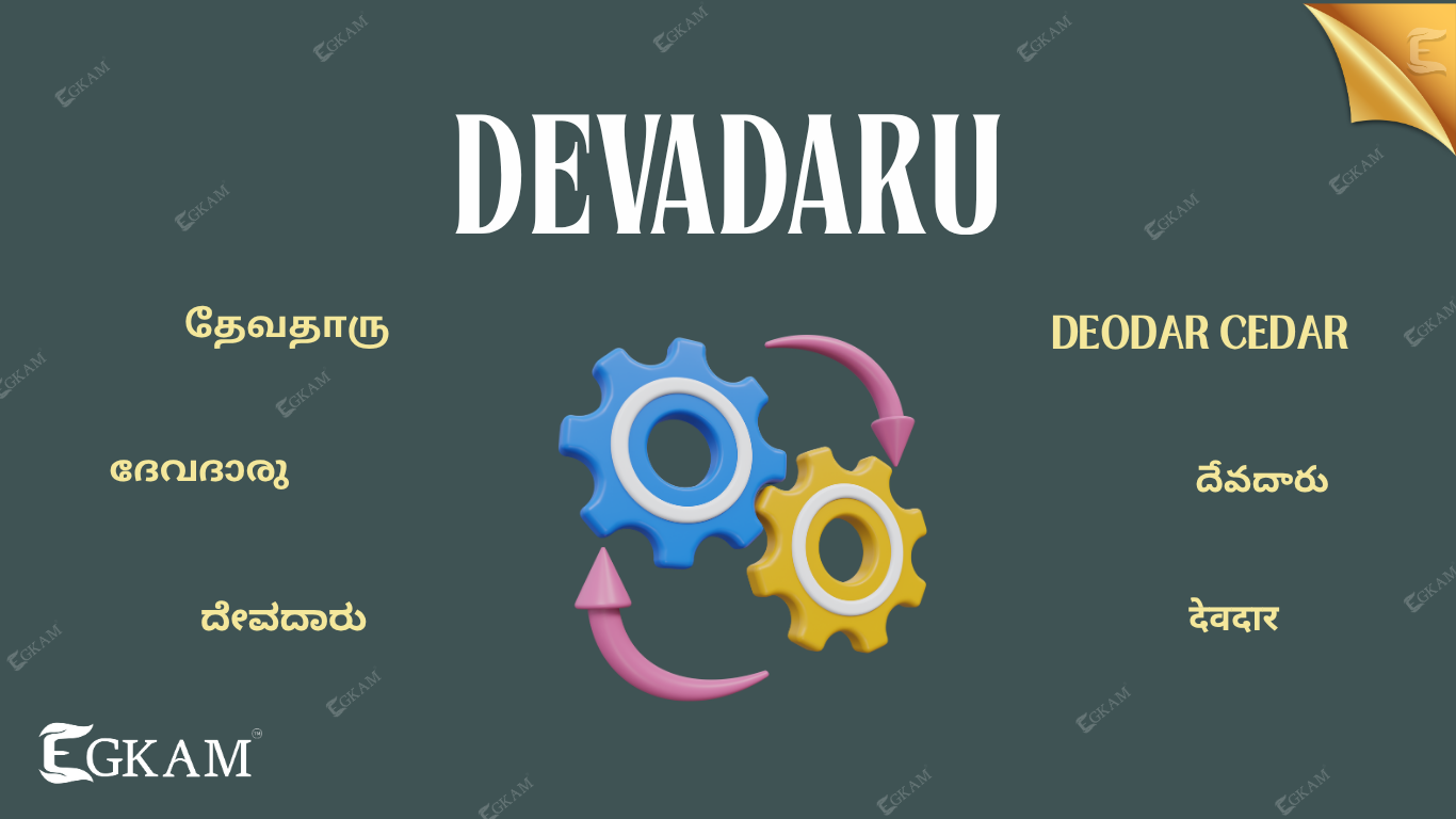 DEVADARU 