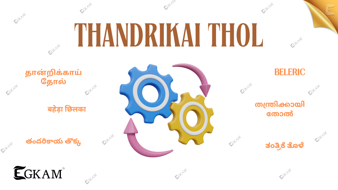 THANDRIKKAI (தோல் (OR) SKIN)