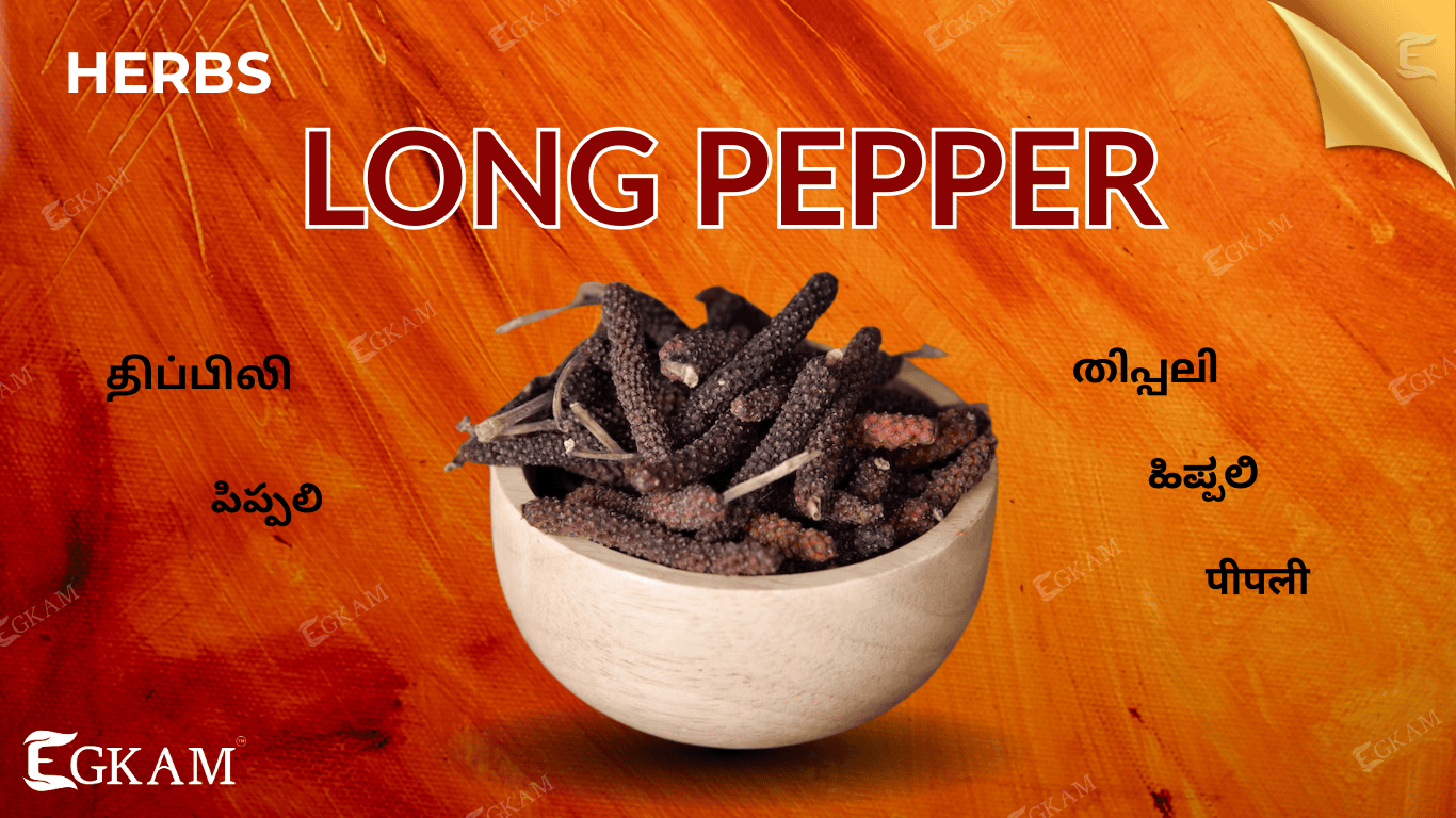 THIPILI (or) LONG PEPPER