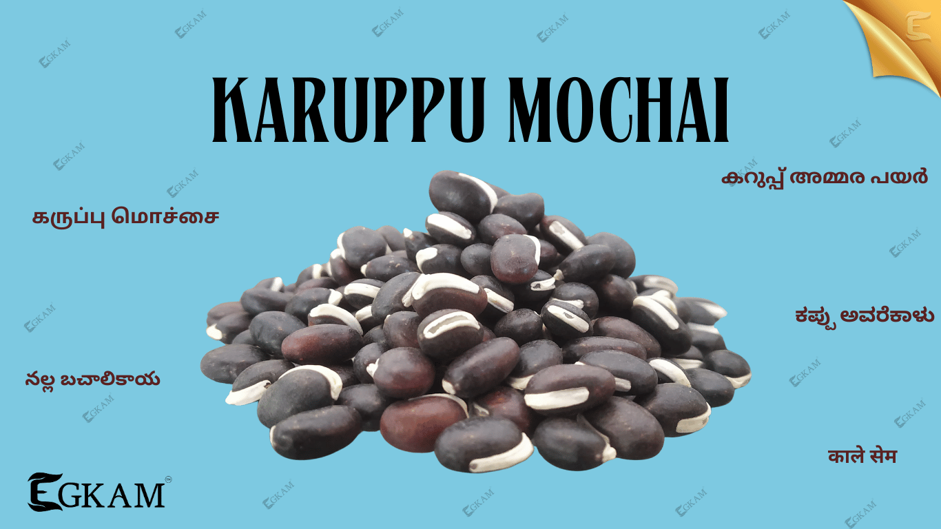 KARUPPU MOCHAI (or) BLAK LIMA BEAN 