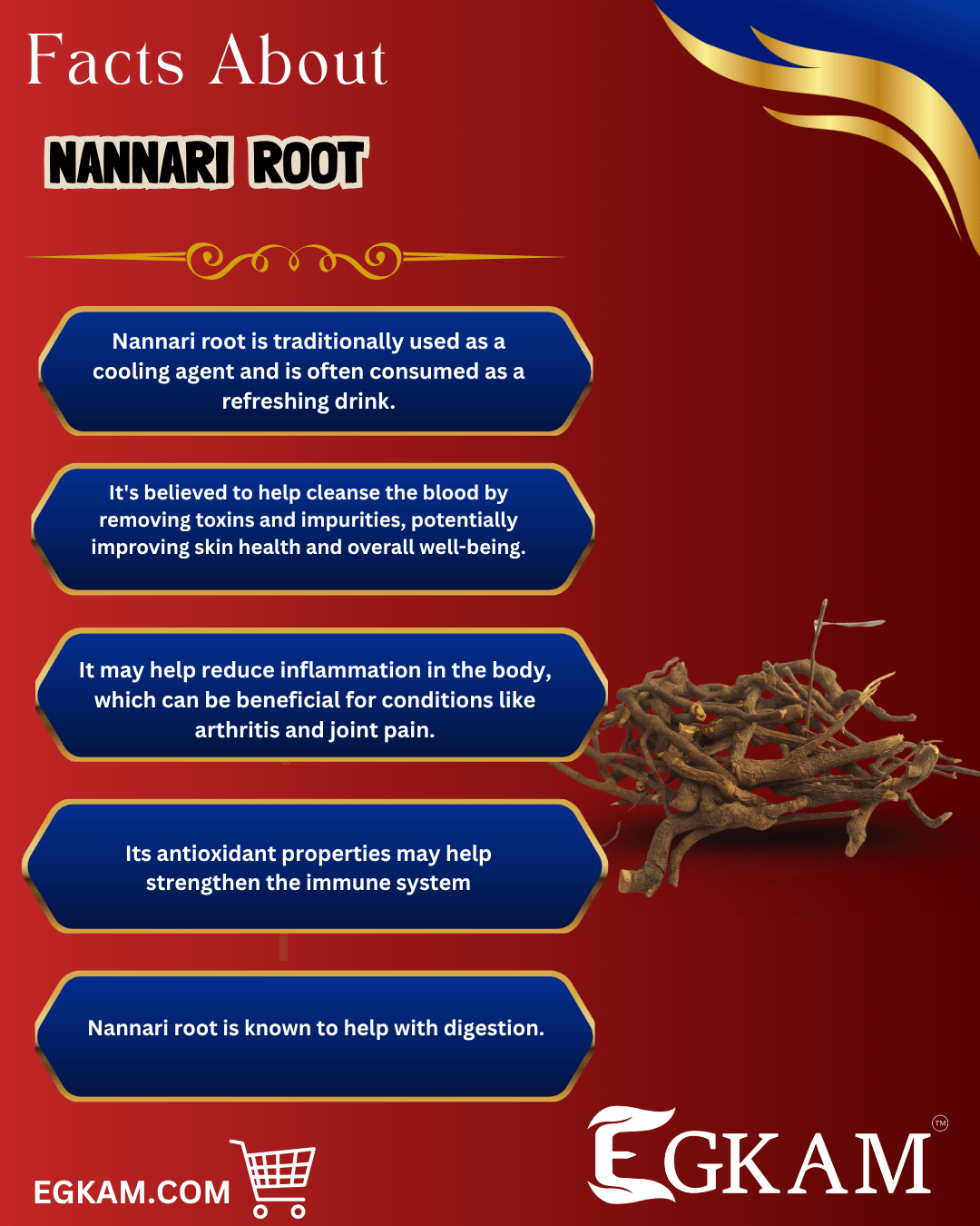 NANNARI ver (OR)  ROOT  - Image 3