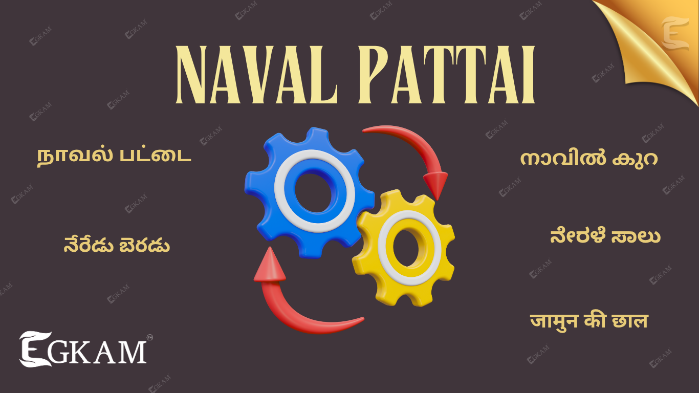 NAVAL PATTAI