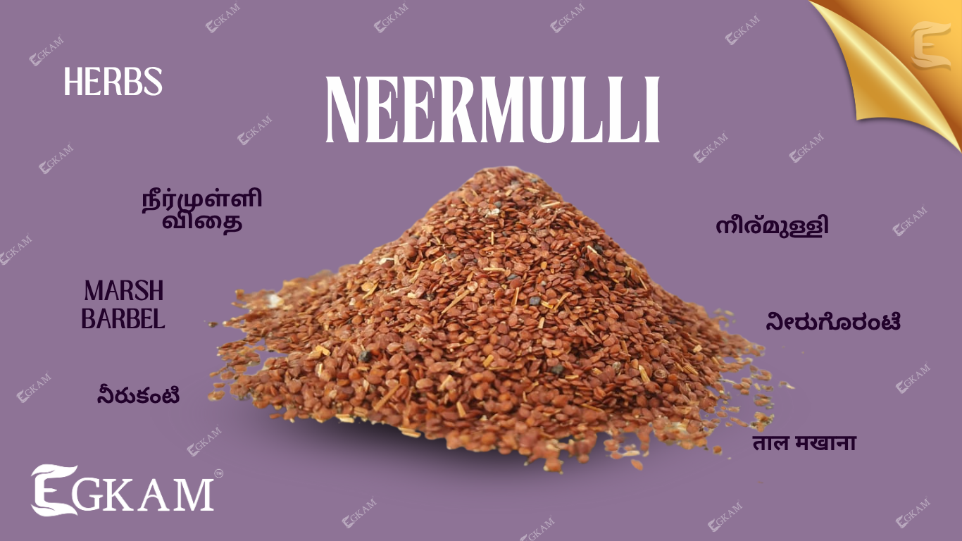 NEERMULLI (vithai (OR) seed)