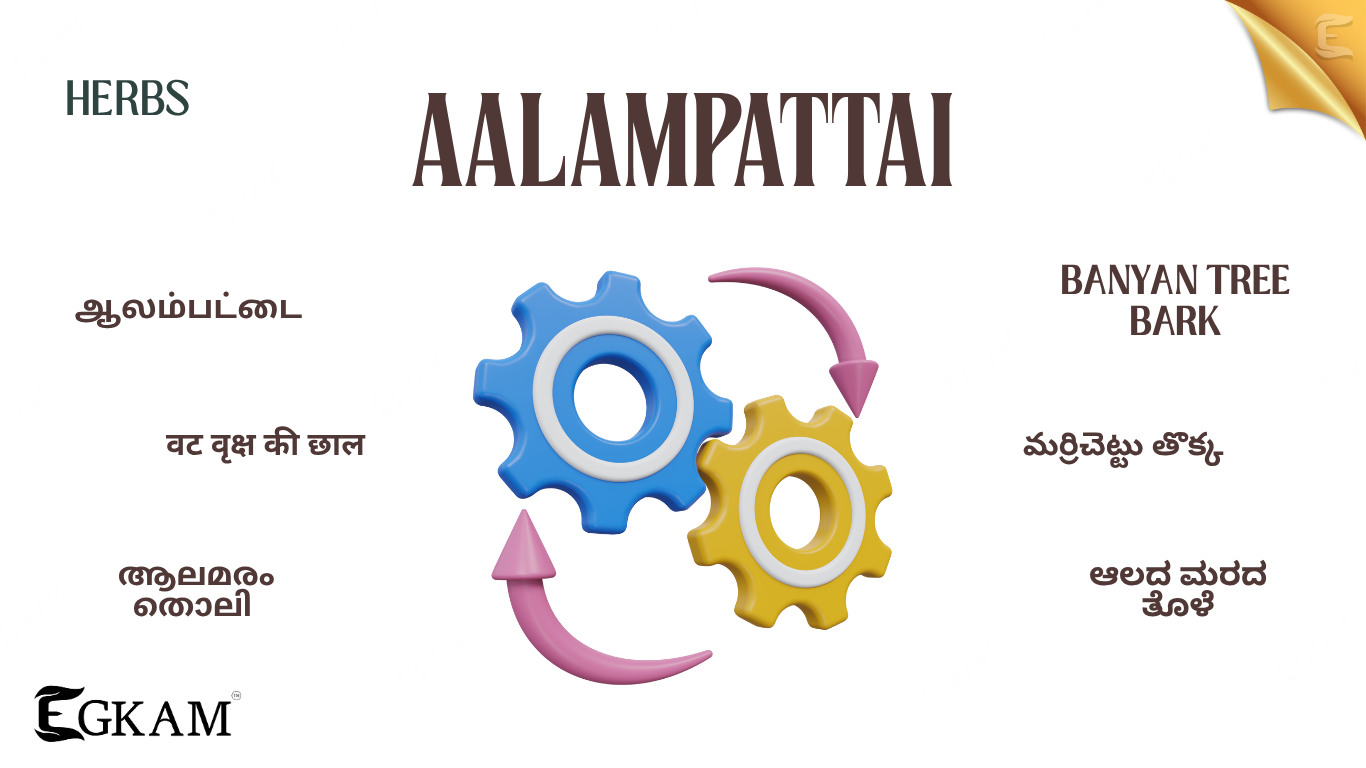 AALAMPATTAI