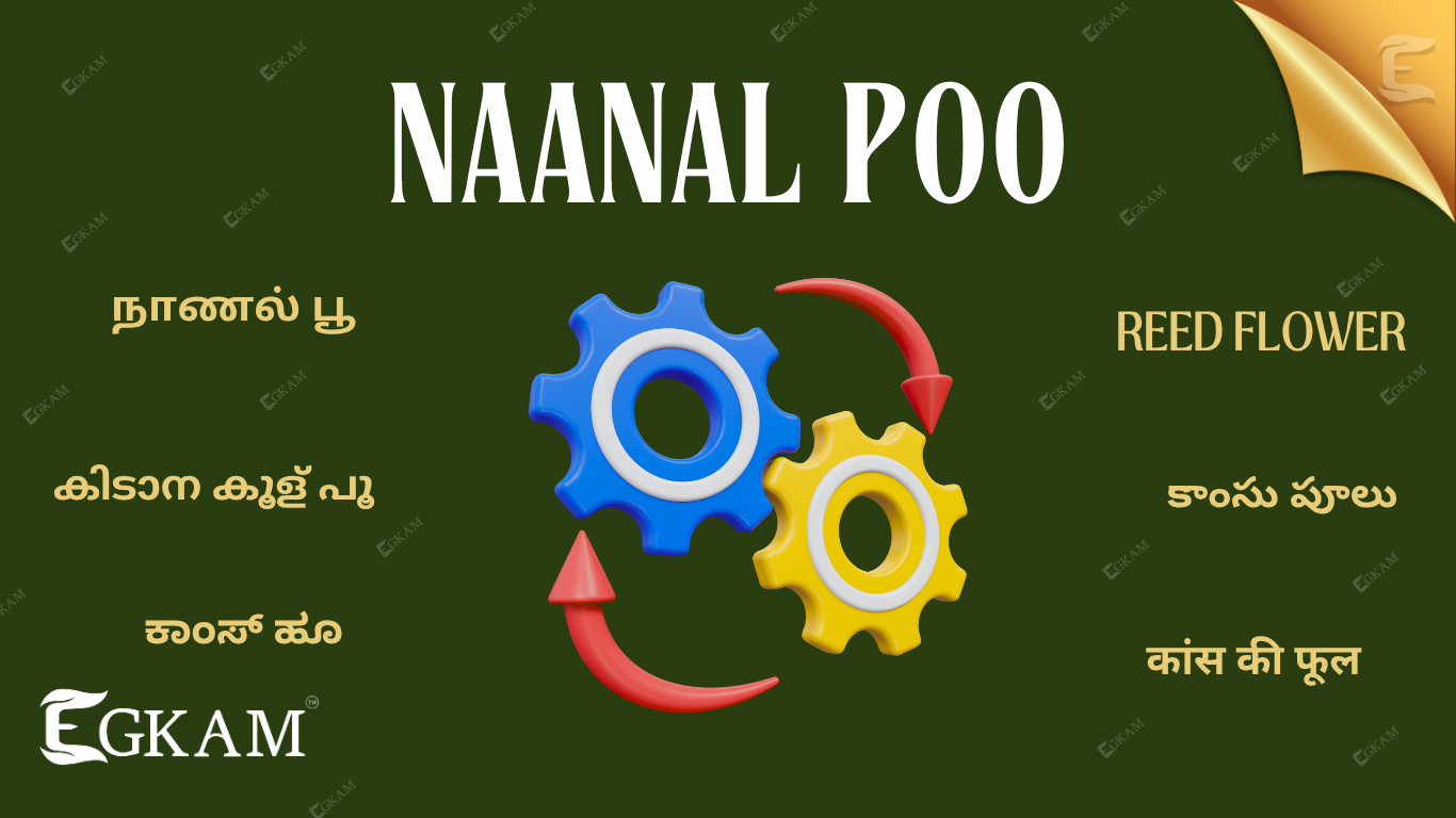 NAANALPOO