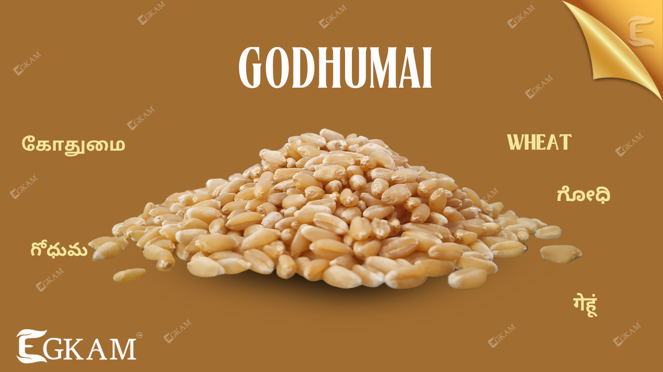 GODHUMAI  (or) WHEAT 