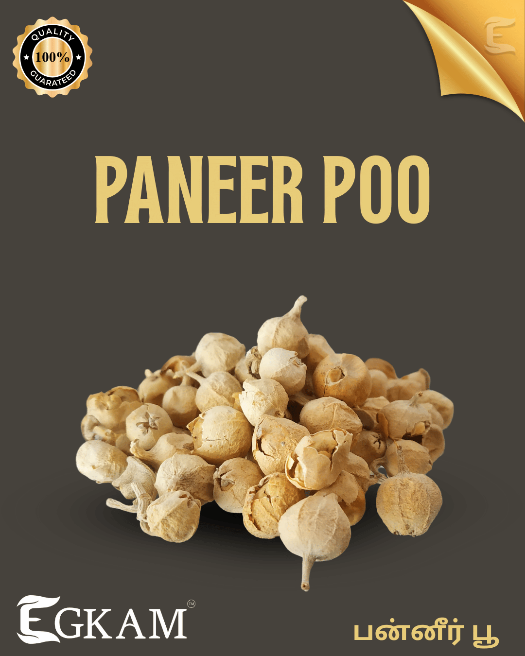 PANNER POO - Image 3