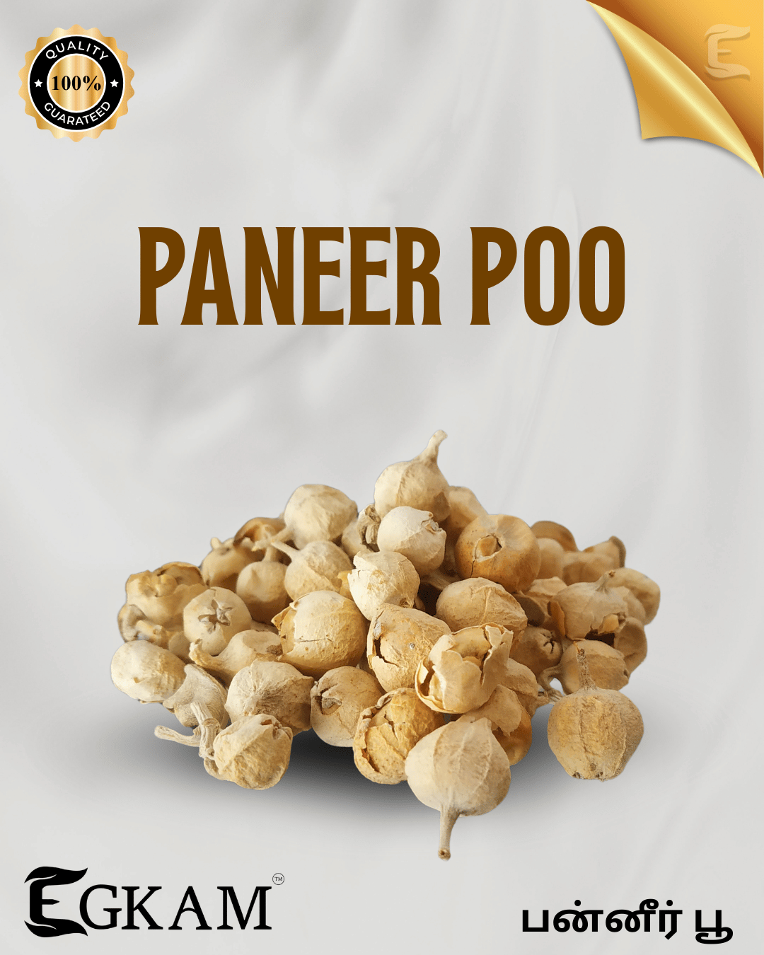 PANNER POO - Image 4