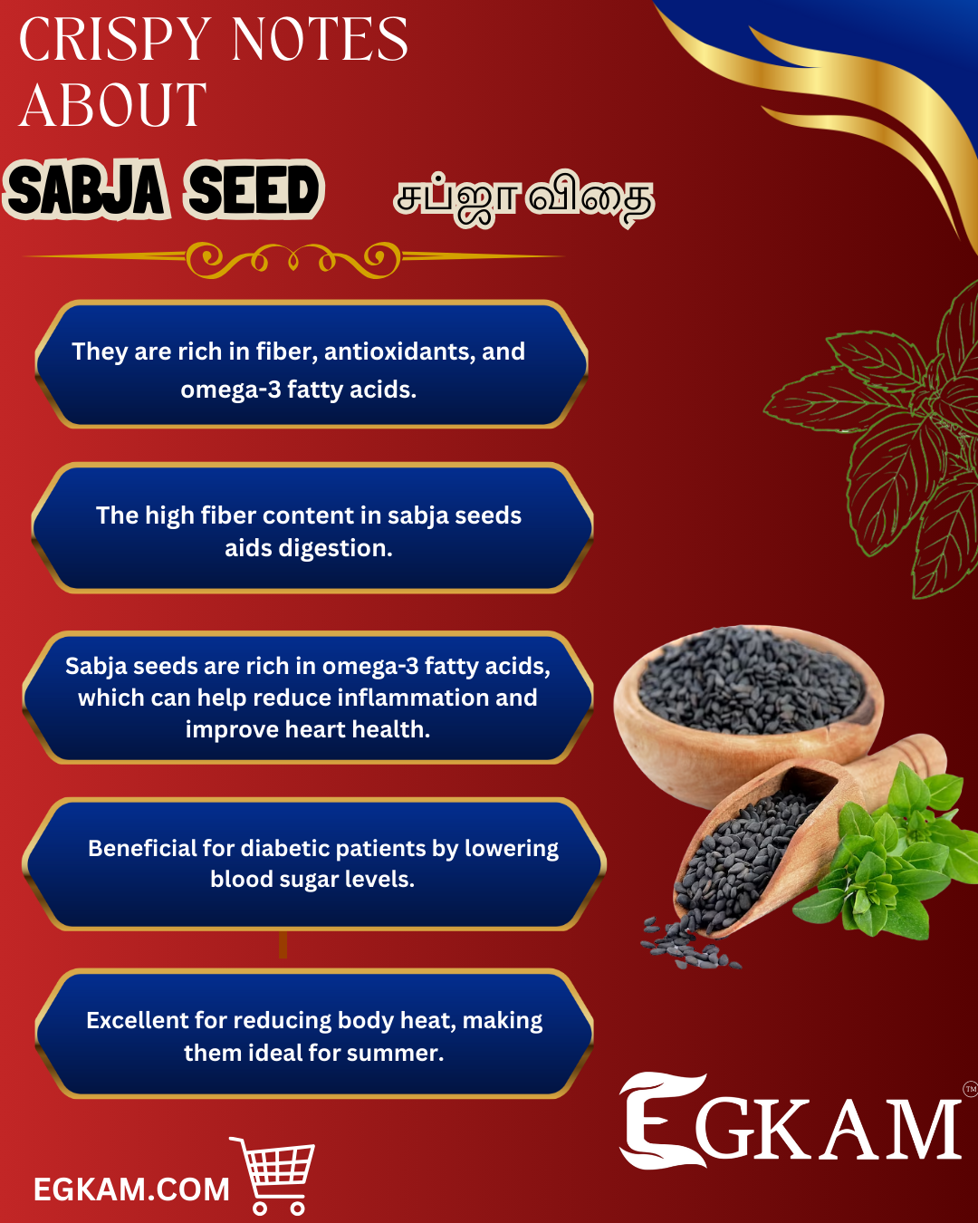 SABJA SEED  - Image 3