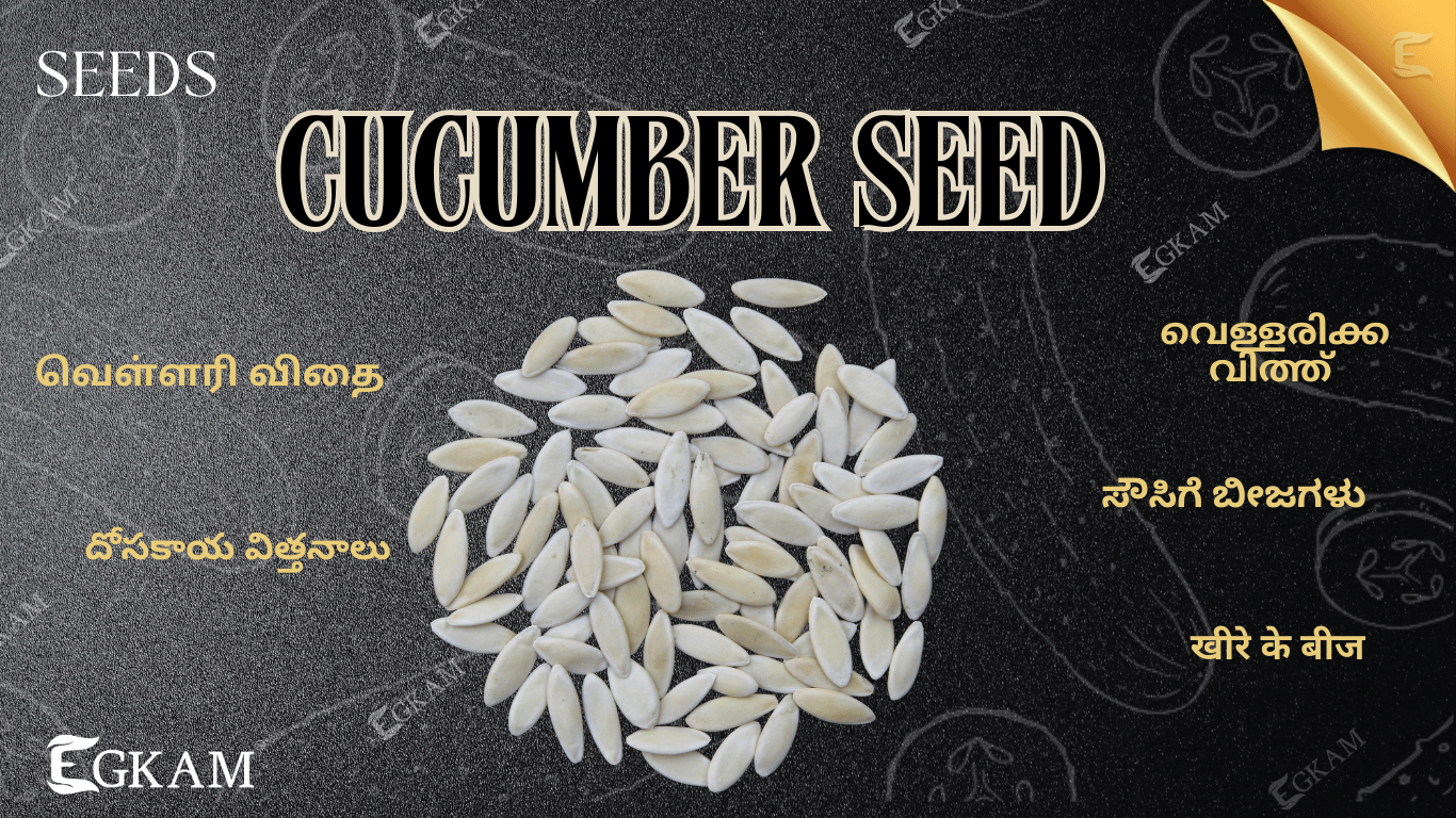 VELLARI VITHAI (o) MUSKMELON SEED 