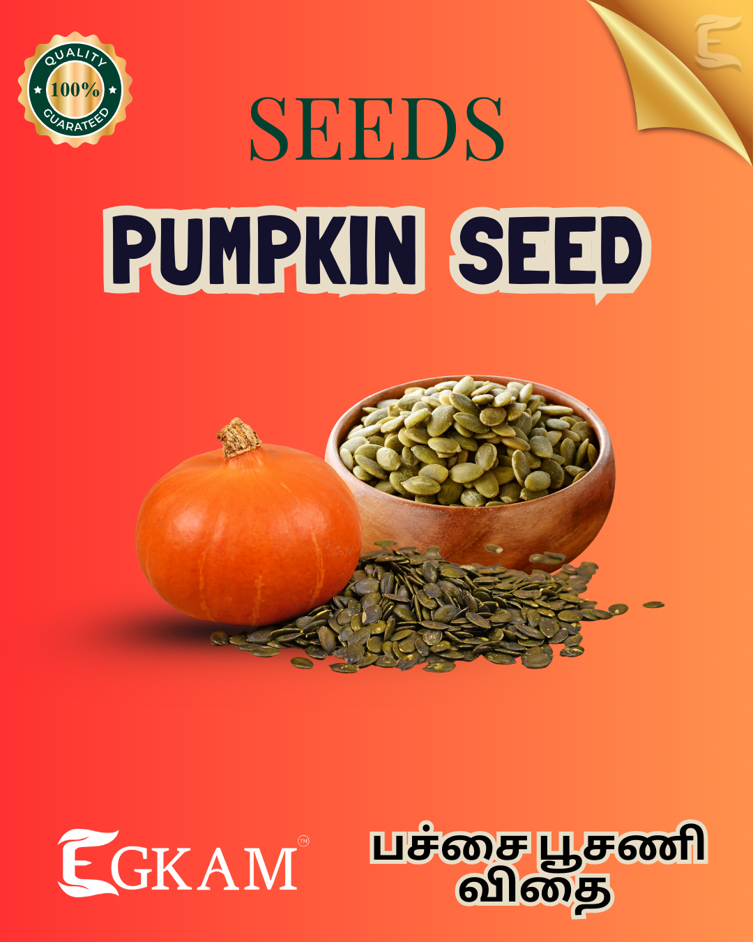 PUMPKIN SEED  - Image 2