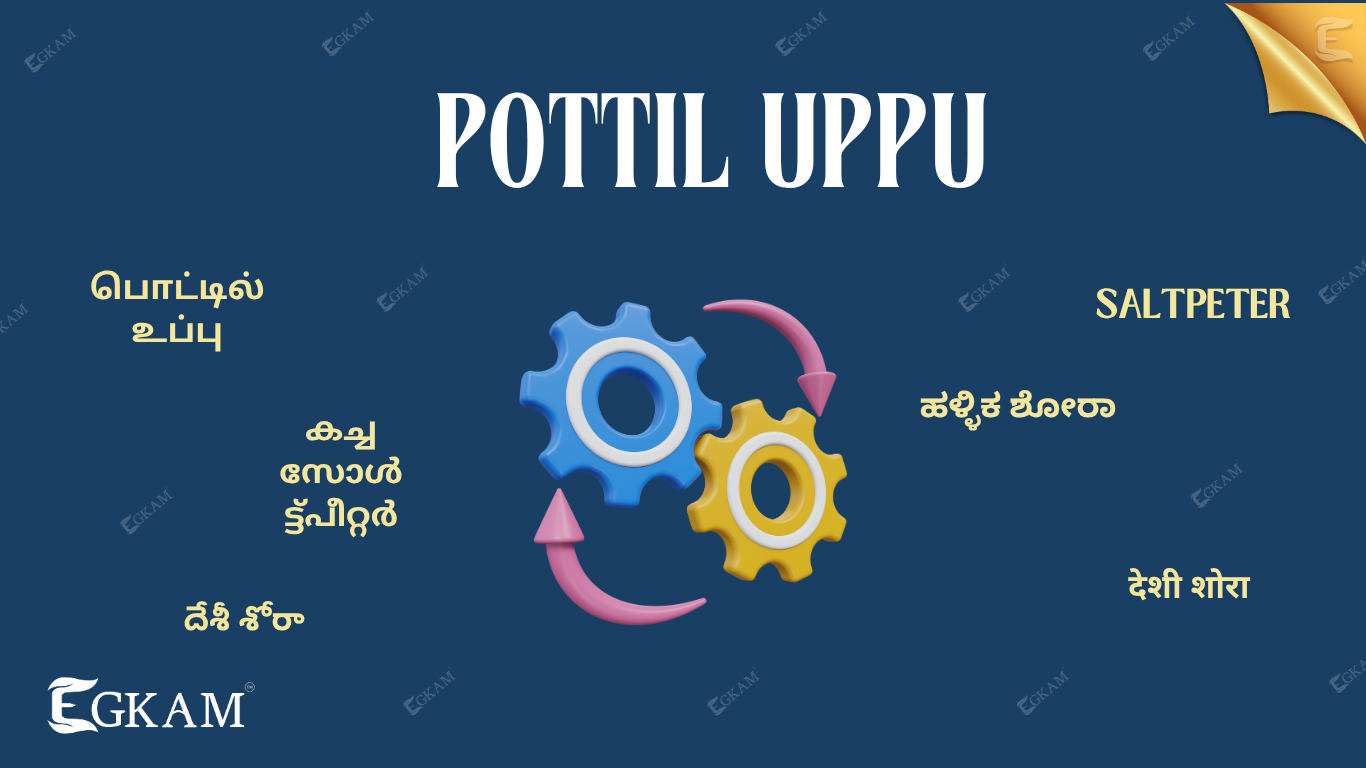 POTTILUPPU