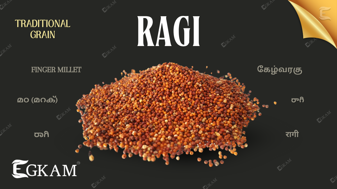 RAGI (or) KELVARAGU  SEMIA 