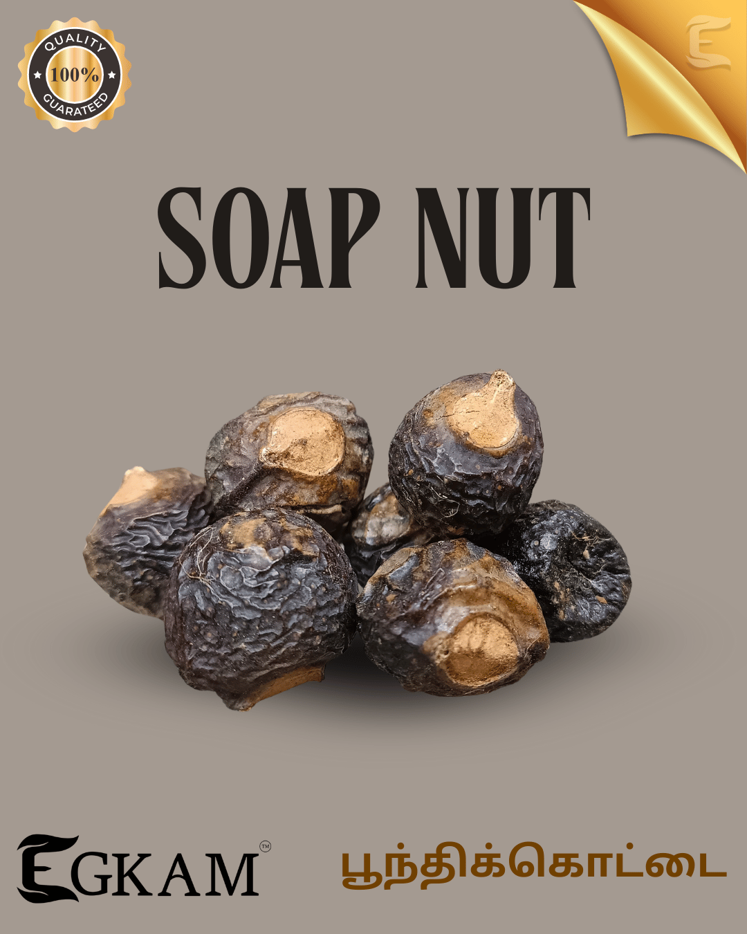 SOAP NUT (or) POONTHIKOTTAI [BIG] - Image 2