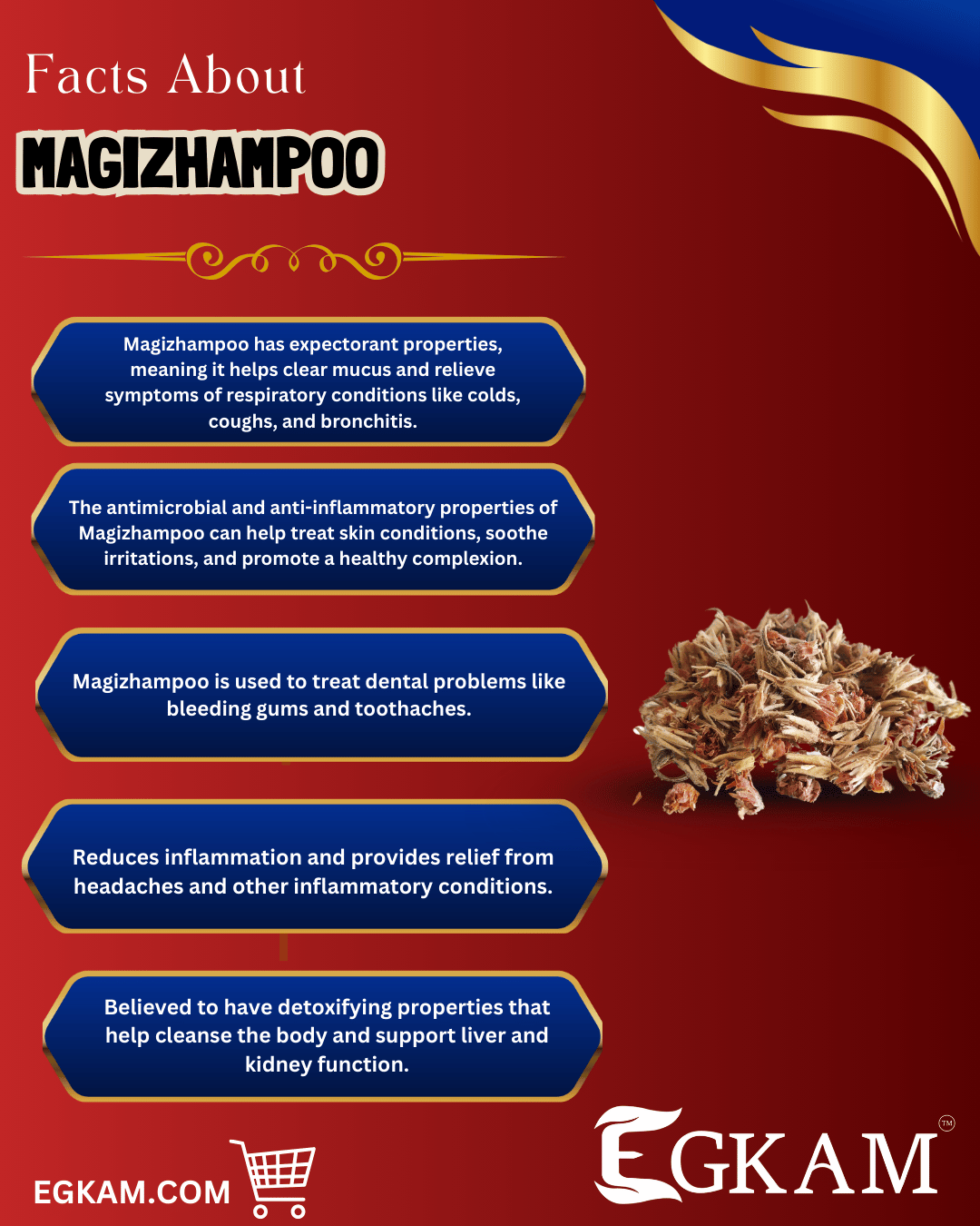 MAGIZHAMPOO - Image 3