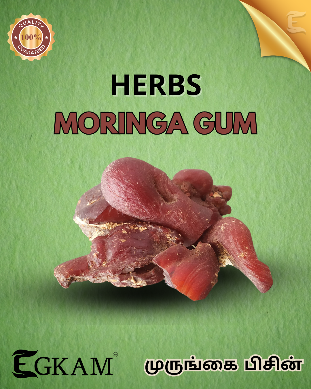 MORINGA PISIN (OR) GUM - Image 2