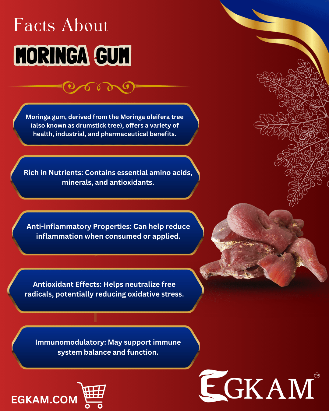 MORINGA PISIN (OR) GUM - Image 3