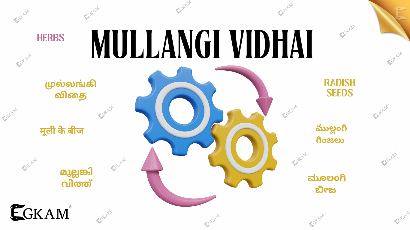 MULLANGI VIDHAI
