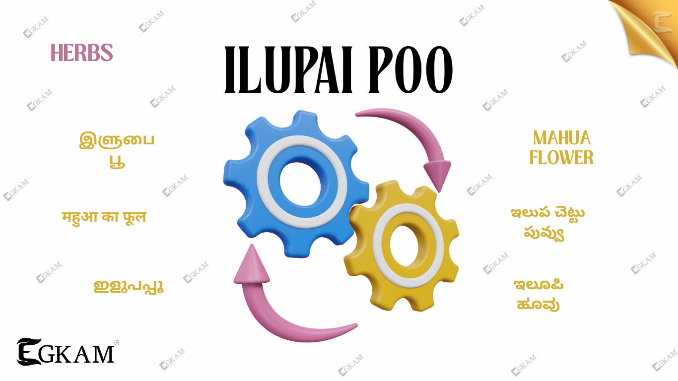 ILLUPAI POO
