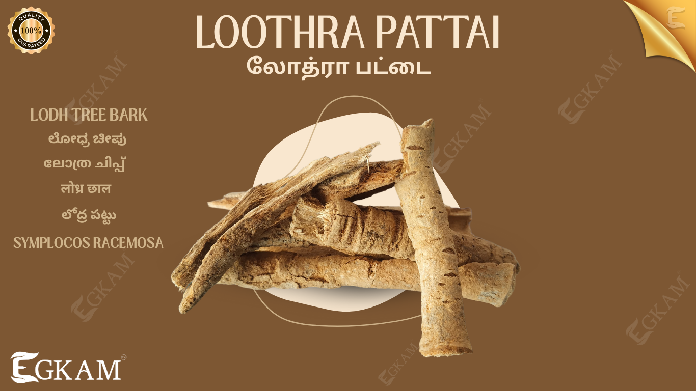 LOTHARA PATTAI