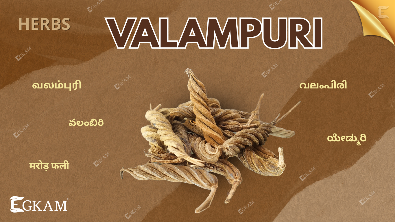 VALAMPURI
