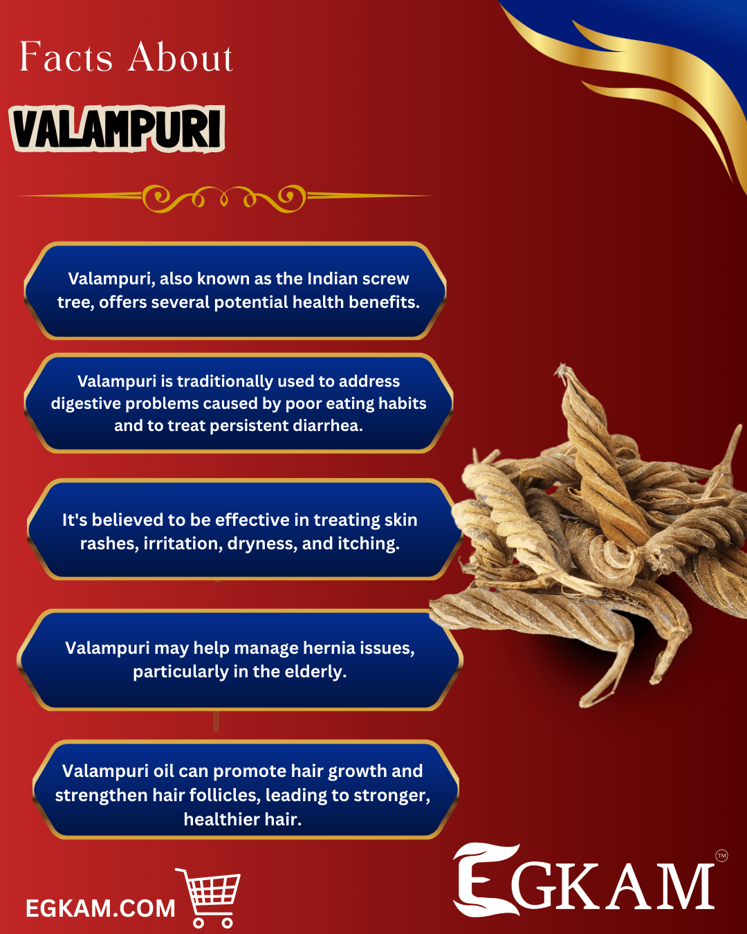 VALAMPURI - Image 3