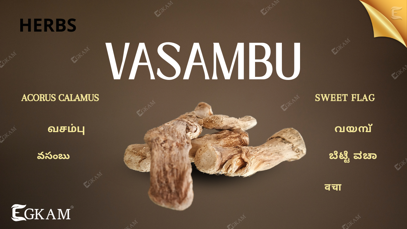 VASAMBU