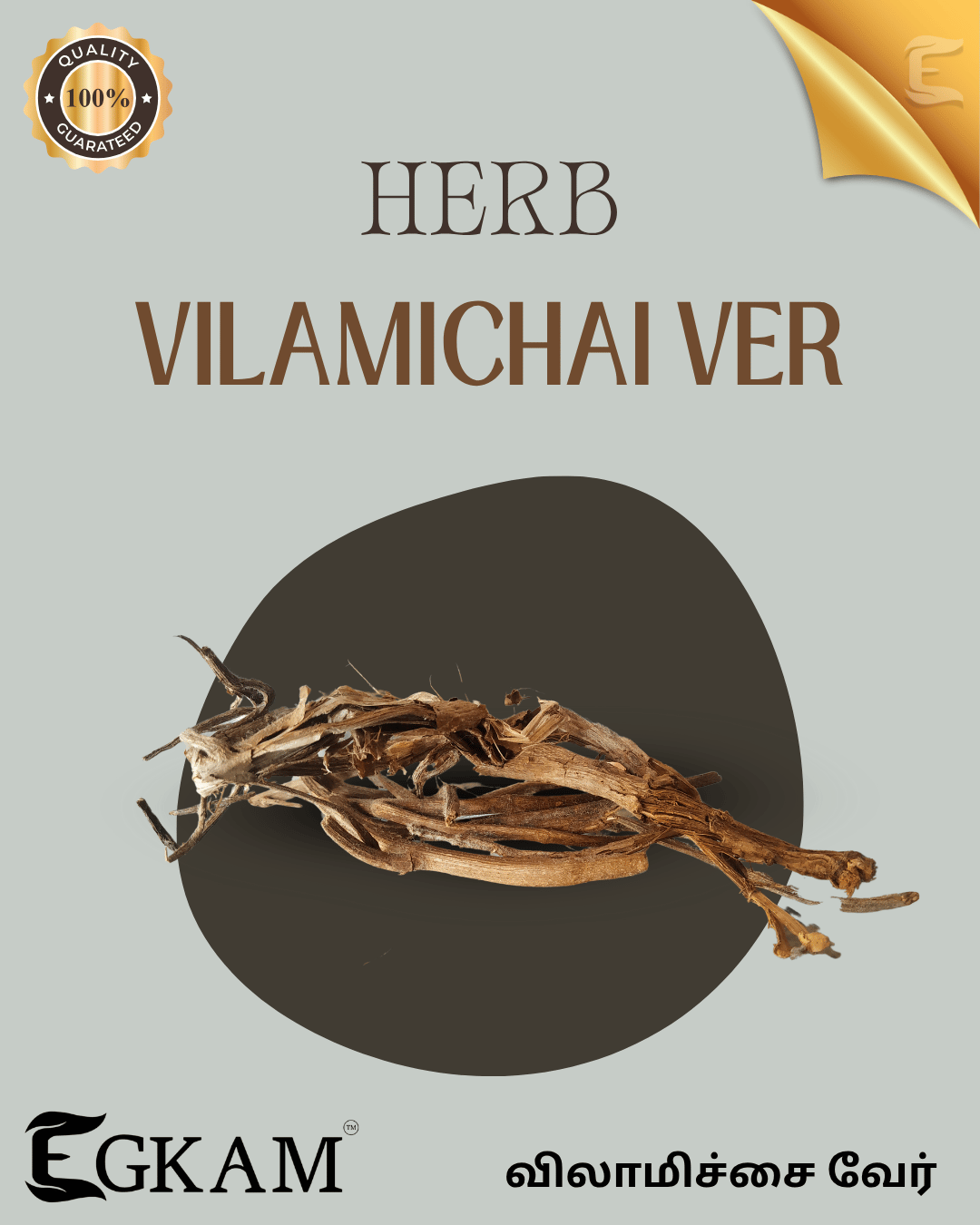 VILAMUDICHI VER (or) ROOT - Image 2