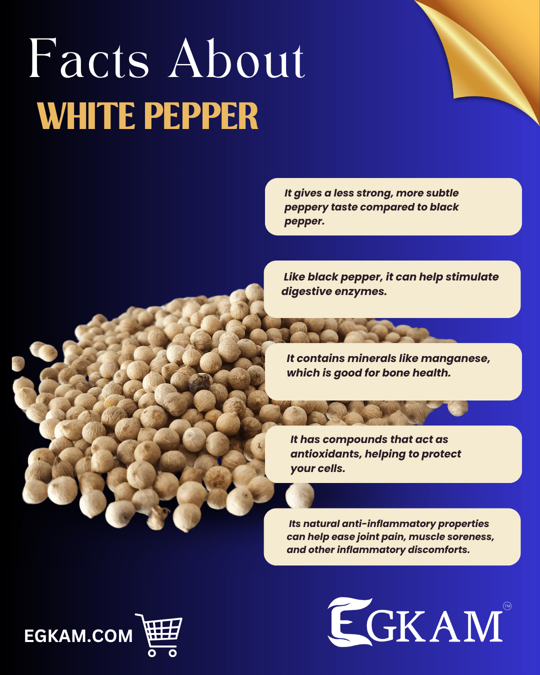 VEN MILAGU (or) WHITE PEPPER - Image 3