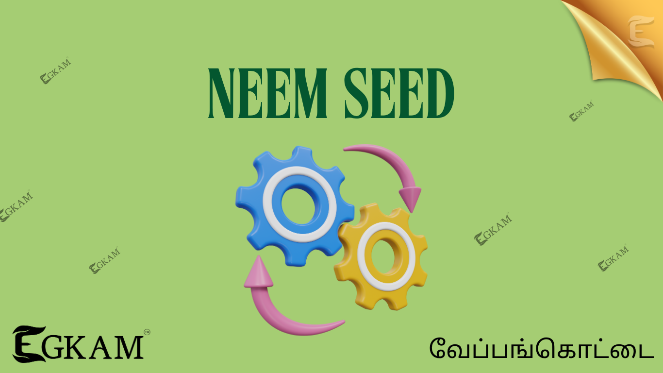 VEPPA VIDHAI (OR) NEEM SEED