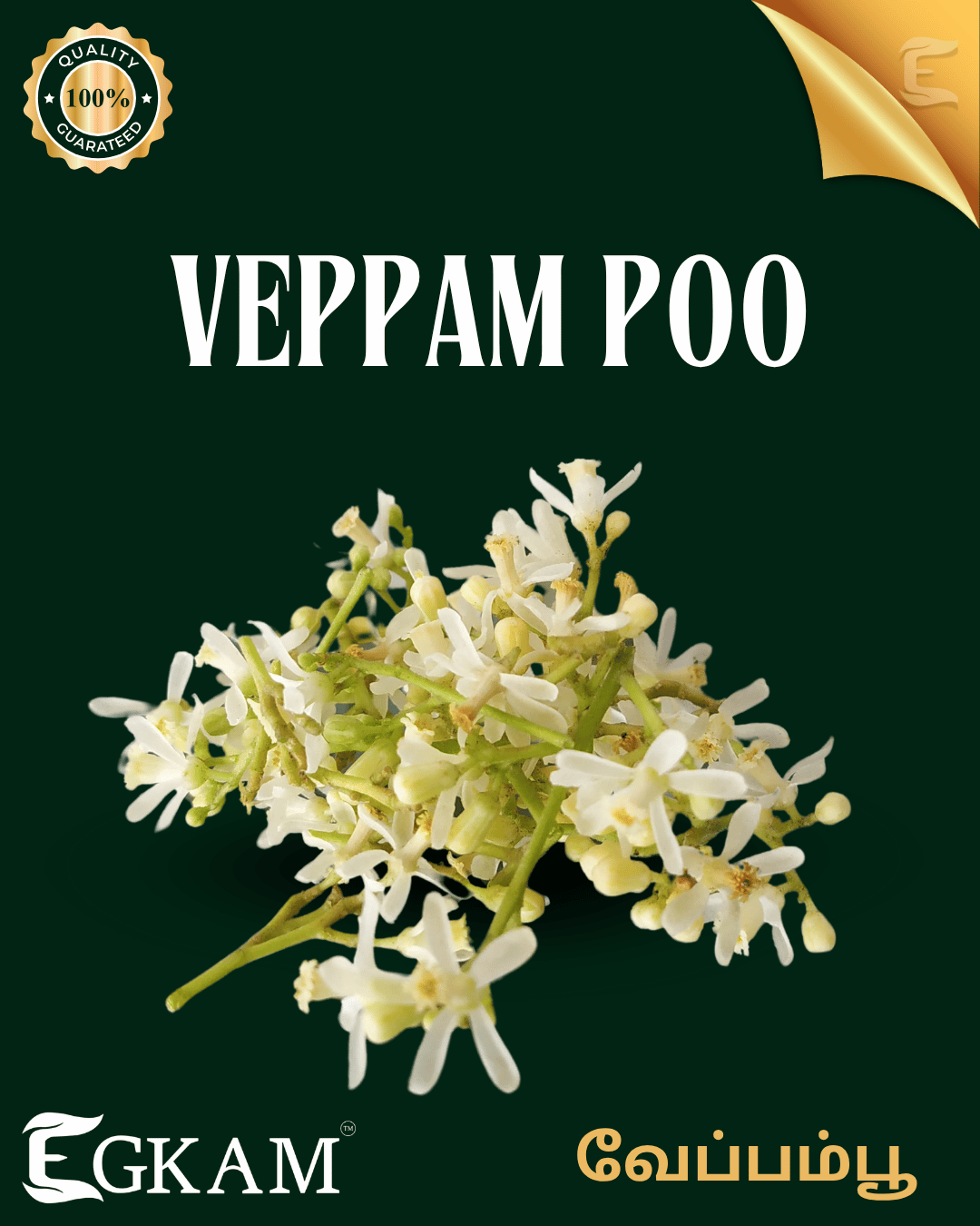VEPPAM POO (or) NEEM FLOWER - Image 2